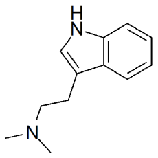 Dimethyltryptamine (DMT)