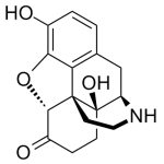 Noroxymorphone